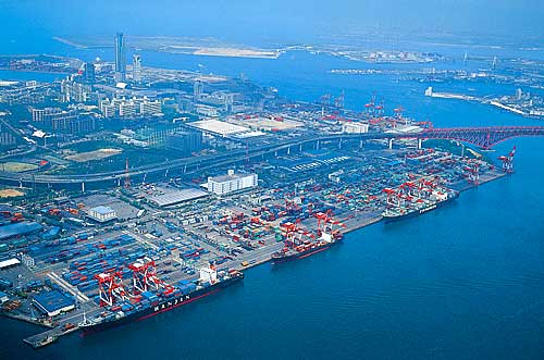 航运业最大的“灰犀牛”来了？注意！盐田港、上海港重要通知！